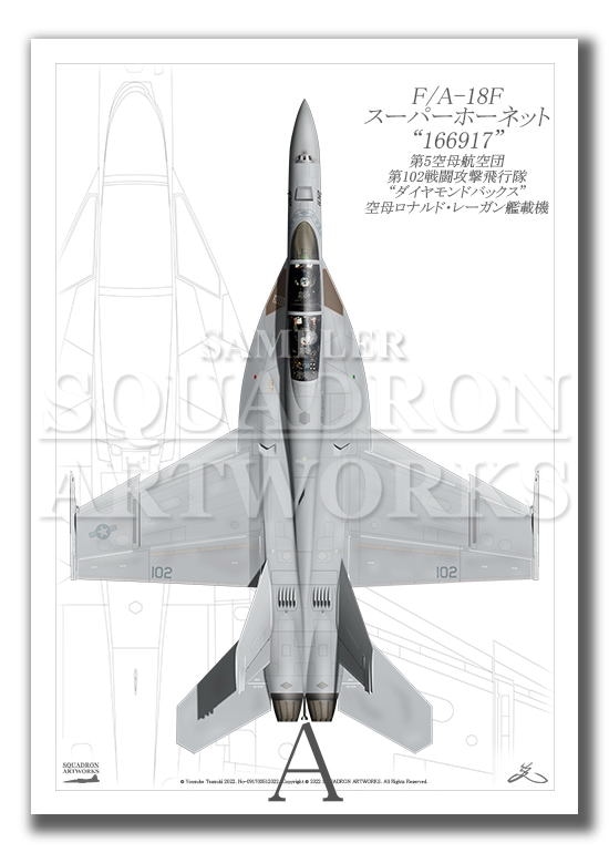 “Top view 縦向き” F/A-18F スーパーホーネット VFA-102  Diamondbacks ＃102  “166917”  （A4サイズ Prints)