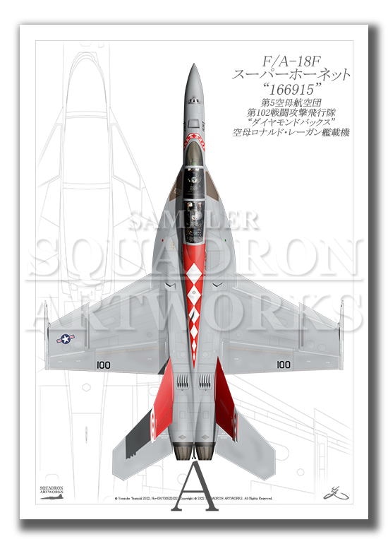 “Top view 縦向き” F/A-18F スーパーホーネット VFA-102  Diamondbacks ＃100  “166915”  （A2サイズ Prints)