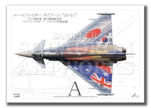 Top view 褳ɡEurofighter Typhoon JG74 AIR AMBASSADOR A4 Prints)