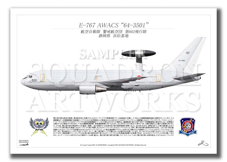 E-767 AWACS 第602飛行隊 