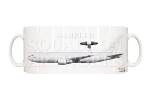 �ޥ����åס�E-767��AWACS����602�����⡡