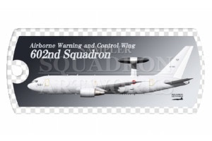 �ɥå����������ۥ������ E-767��AWACS����602�����⡡