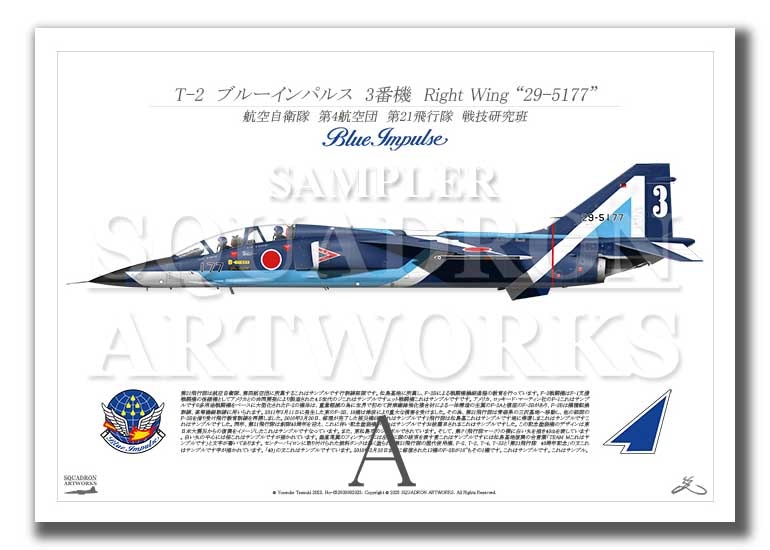T-2 ブルーインパルス 3番機 “29-5177” （A4サイズ Prints
