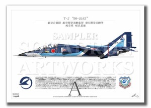 T-2�����Գ�ȯ�¸��ġ��֥롼����ѥ륹��