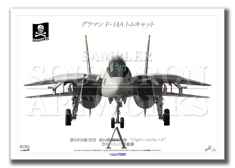 “Front View” F-14A トムキャット VF-84 “ジョリーロジャース” (A3)