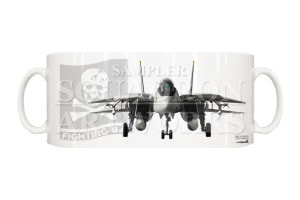 �ޥ����åס���Front View�� F-14A �ȥ७��å� VF-84 �ȥ���꡼�����㡼����