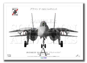 Front View F-14A ȥ७å VF-41 BLACK ACES 112 (A3)