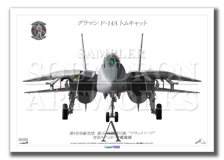 “Front View” F-14A トムキャット VF-154 “Black Knights 101” (A2)