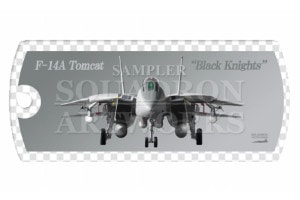 �ɥå����������ۥ��������Front View�� F-14A �ȥ७��å� VF-154 ��Black Knights 101��