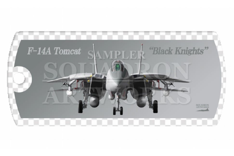 ドッグタグキーホルダー　“Front View” F-14A トムキャット VF-154 “Black Knights 101”