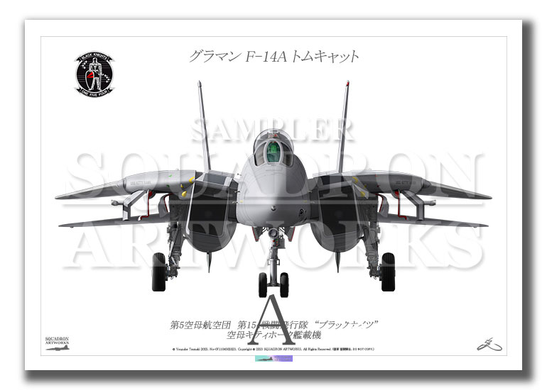 “Front View” F-14A トムキャット VF-154 “Black Knights 111” (A3)