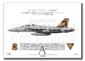 EA-18G 饦顼 VAQ-132 ȥԥ󥺡 2011 Showbird 166894 (A4 Size Print)