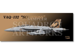 �ե����������롡EA-18G ���饦�顼 VAQ-132 �ȥ������ԥ��󥺡� 2011 Showbird ��166894��