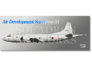 �ե����������롡P-3C���Ҷ����ġ���51�Ҷ��⡡