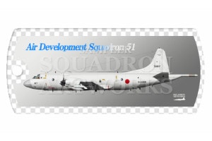 �ɥå����������ۥ������ P-3C���Ҷ����ġ���51�Ҷ��⡡