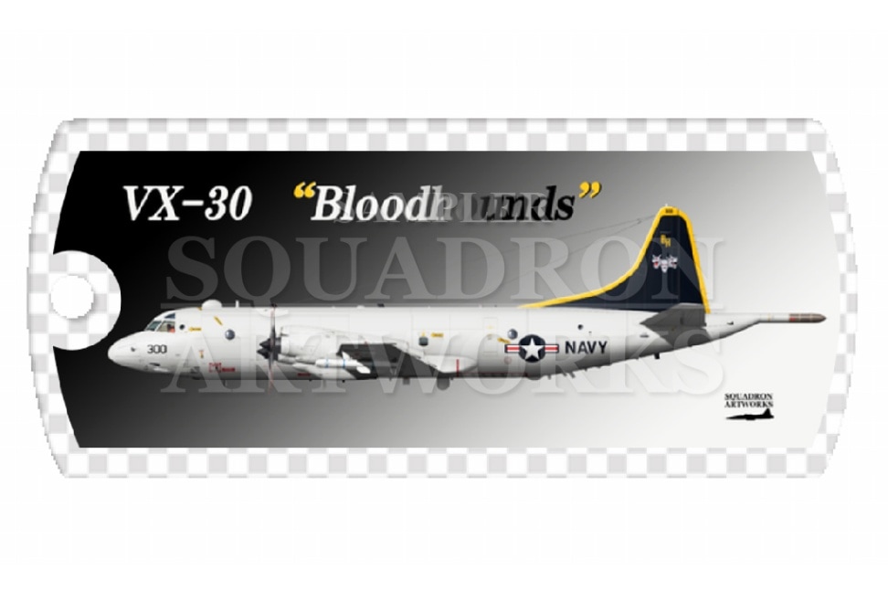 ドッグタグキーホルダー　 P-3C VX-30 “Bloodhounds” 2023 Showbird “162999”