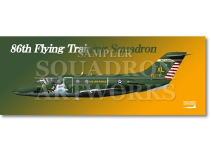 �ե�����������  T-1A Jayhawk��86th FTS����91-0086��