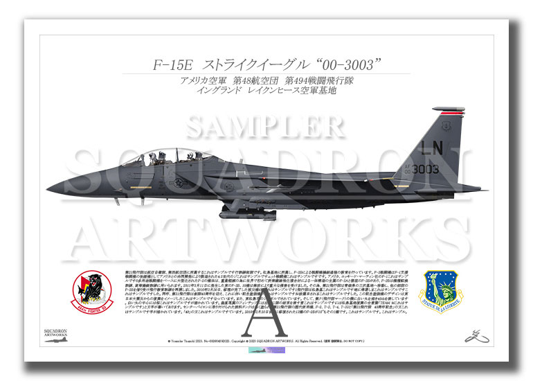 F-15E　Strike Eagle　494th FS　Panthers　“00-3003”  （A3サイズ Print)