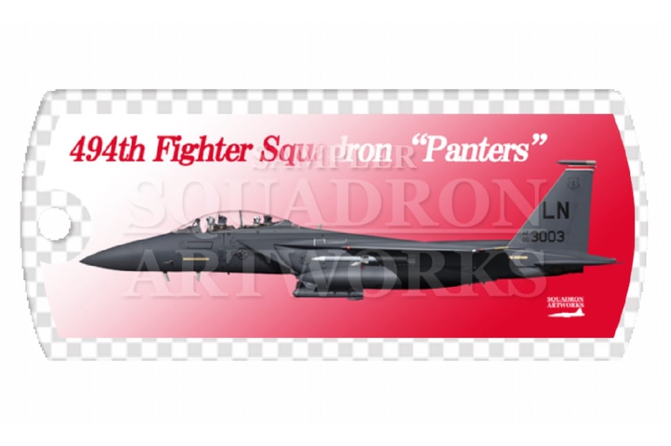 ドッグタグキーホルダー　 F-15E　Strike Eagle　494th FS　Panthers　“00-3003”