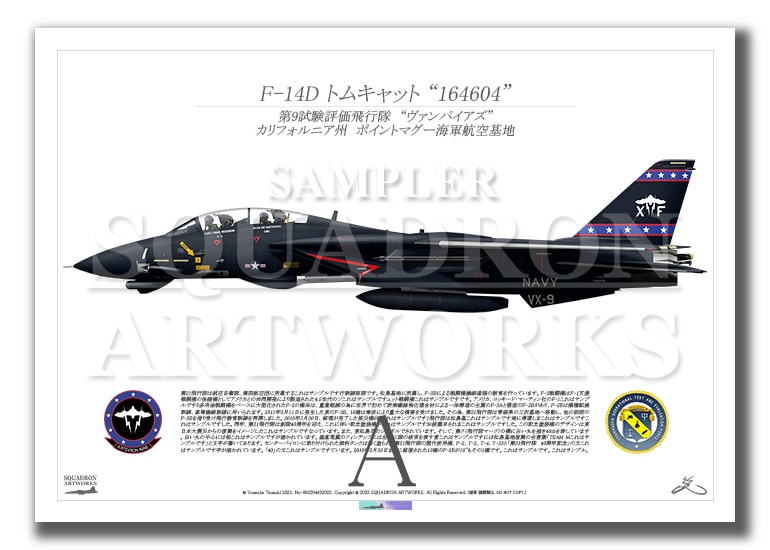 F-14D トムキャット VX-9 Vampires “Vandy 1” 164604  （A4サイズ Print)