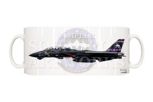 �ޥ����åס�F-14D �ȥ७��å� VX-9 Vampires ��Vandy 1�� 164604