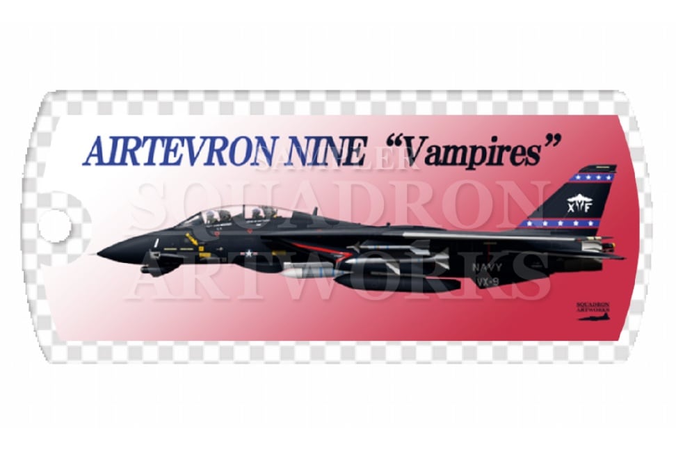 ドッグタグキーホルダー　F-14D トムキャット VX-9 Vampires “Vandy 1” 164604