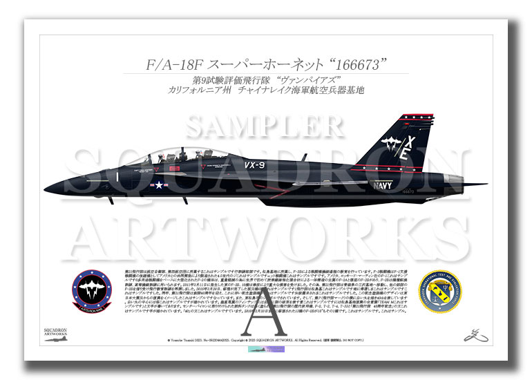 F/A-18F スーパーホーネット VX-9 Vampires “Vandy 1” 166673  （A2サイズ Print)