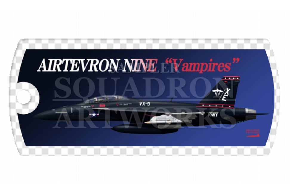 ドッグタグキーホルダー　F/A-18F スーパーホーネット VX-9 Vampires “Vandy 1” 166673