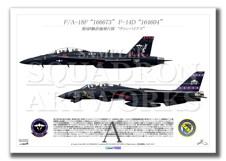 VX-9 Vampires “Vandy 1” F-14D, F/A-18F  2機ver  （A2サイズ Print)