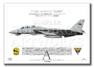 F-14D Tomcat VF-31 Tomcatters Last Tomcat Cruise 2006 163904 A2 Print)