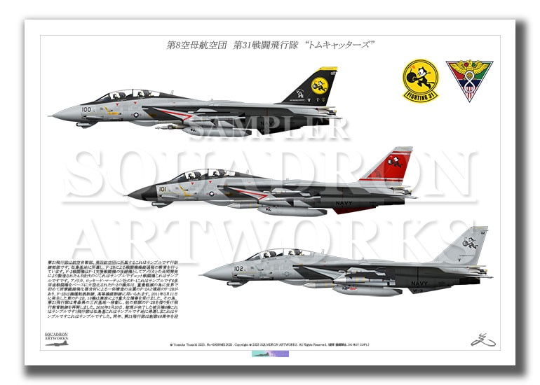 VF-31 Tomcatters “Last Tomcat Cruise 2006”　3機ver 100/101/102 （A4サイズ Print)