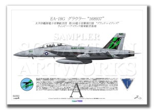 EA-18G 饦顼 VAQ-135 Black Ravens 2023 Showbird 168937 (A4 Size Print)