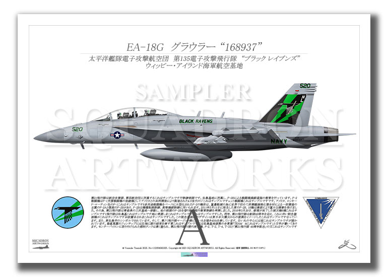 EA-18G グラウラー VAQ-135 “Black Ravens” 2023 Showbird “168937