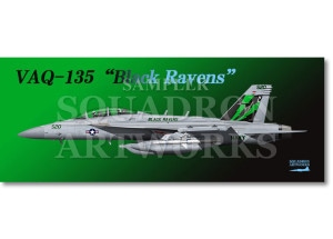 ե  EA-18G 饦顼 VAQ-135 Black Ravens 2023 Showbird 168937