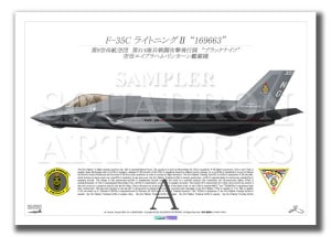 F-35CLightningVMFA-314 Black Knights 300  A2 Print)