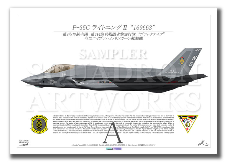 F-35C LightningⅡ VMFA-314 Black Knights “300” （A2サイズ Print