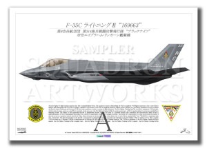 F-35CLightningVMFA-314 Black Knights 300  A4 Print)