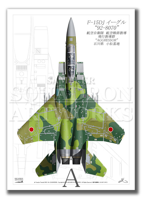 Top view 縦向き” F-15DJ イーグル 飛行教導群 “92-8070” グリーン