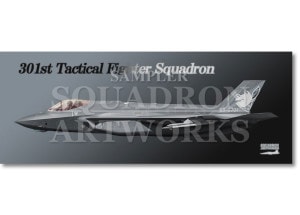 ե롡F-35A301⡡50th Anniv50ǯǰ69-8701