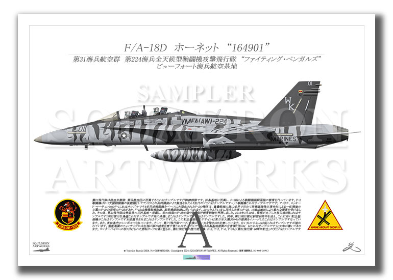 F/A-18D Hornet VMFA(AW)-224 “Fighting Bengals” 164901  (A3 Size Print)
