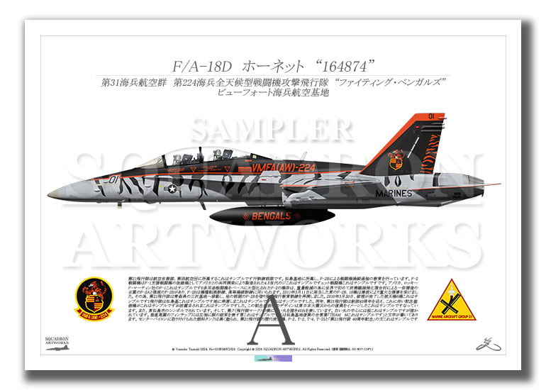 F/A-18D Hornet VMFA(AW)-224 “Fighting Bengals” 2023 Showbird 164874  (A2 Size Print)