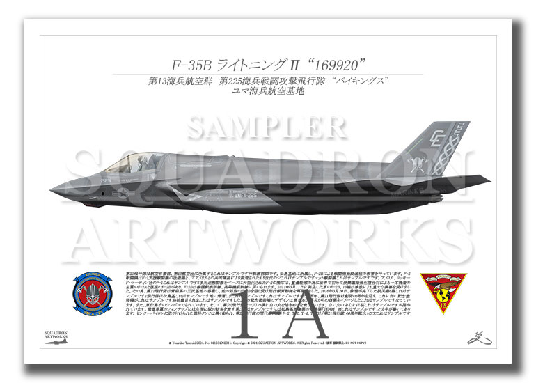 ホビーマスター VMFA-225(米海兵隊戦闘攻撃飛行隊225) F35B F-35B LightningⅡ VMFA-225 Vikings “169920” (A3 Size Print
