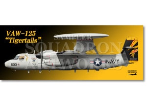 �ե����������롡E-2D �ۡ������� VAW-125 Tigertails 2024 Showbird ��168989��