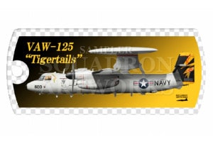 �ɥå����������ۥ������E-2D �ۡ������� VAW-125 Tigertails 2024 Showbird ��168989��