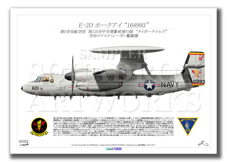 E-2D ホークアイ VAW-125 Tigertails　601　MCAS Iwakuni　岩国基地　“168993”　（A2サイズ)