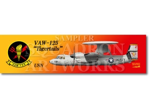 �ڥ��ƥå����ۡ�E-2D �ۡ������� VAW-125 Tigertails��601��MCAS Iwakuni�������ϡ���168993��
