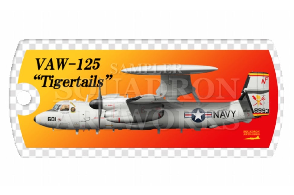 ドッグタグキーホルダー　E-2D ホークアイ VAW-125 Tigertails　601　MCAS Iwakuni　岩国基地　“168993”