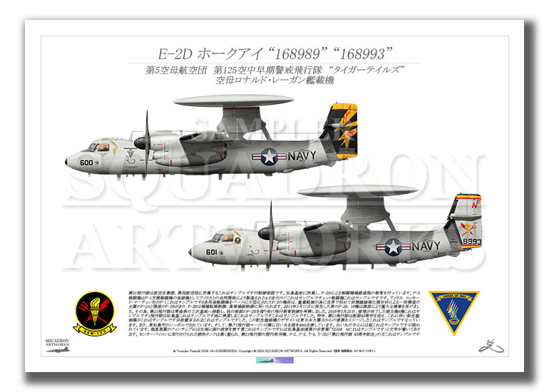 E-2D ホークアイ VAW-125 Tigertails 2機ver “168989” “168993”　（A4サイズ)