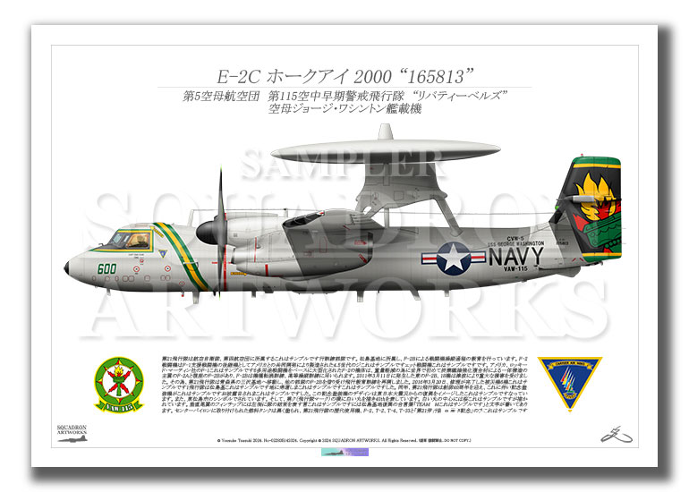 E-2C ホークアイ 2000　VAW-115　“リバティーベルズ”　2013　Showbird “165813”　（A2サイズ)