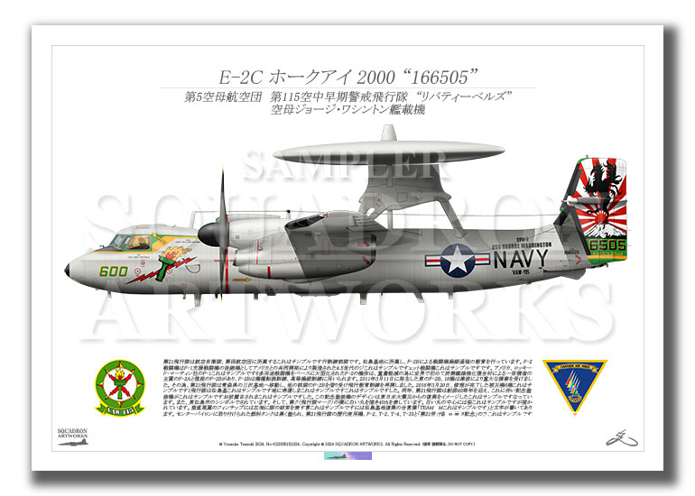 E-2C ホークアイ 2000　VAW-115　“リバティーベルズ”　2015　Showbird “166505”　（A2サイズ)